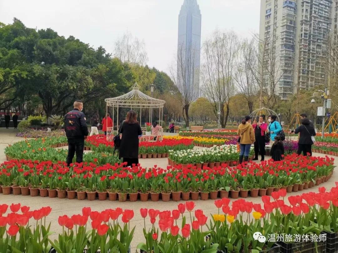 探访暖春花开地新址，自然人文之美交相辉映的秘境