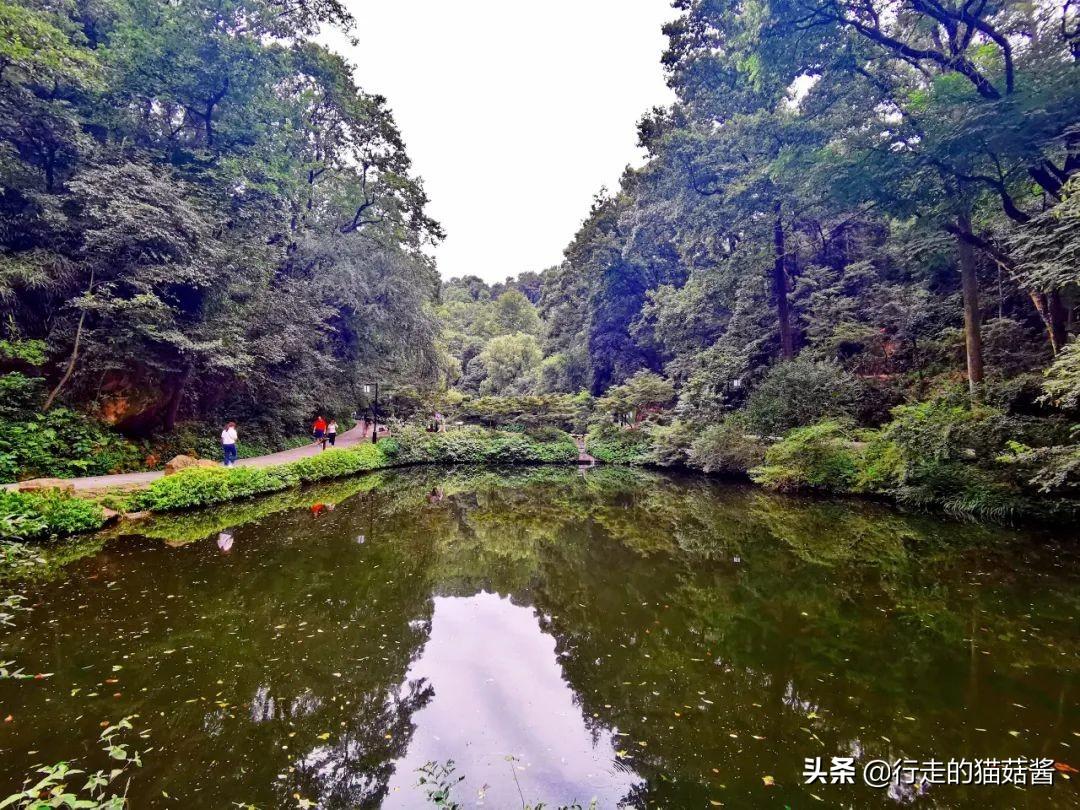 长沙岳麓区疫情最新确诊消息