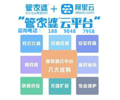 777788888精准管家婆资费大全,全面分析说明_特别版95.420