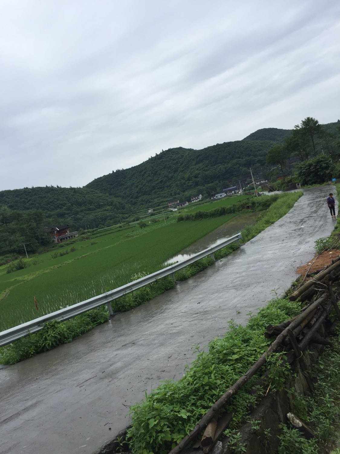 麻界滩村委会天气预报更新通知