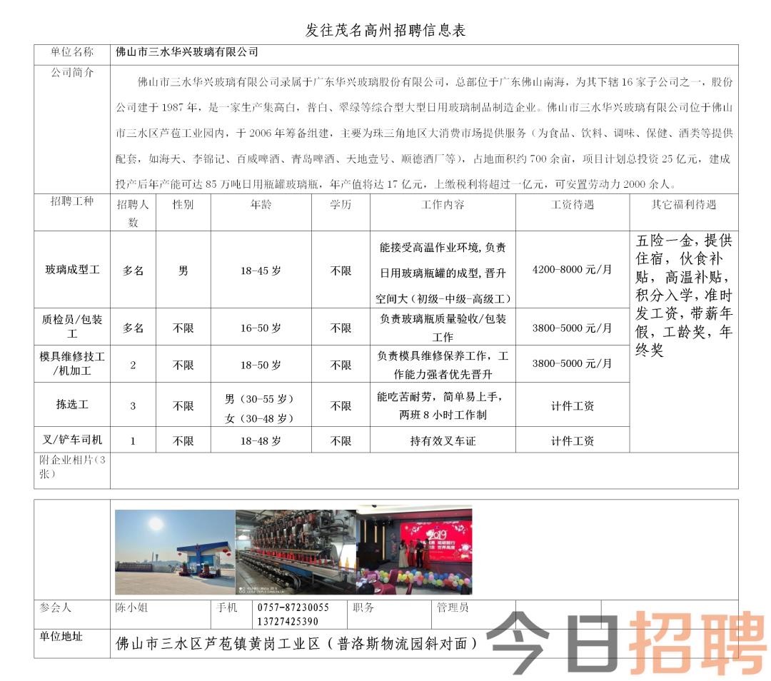 马义村最新招聘信息概览